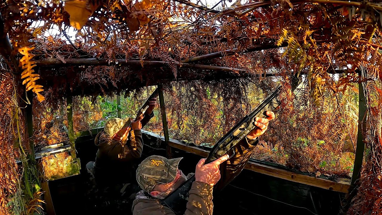 chasse palombe en palombière 3