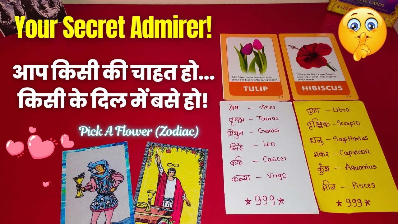Don't Skip 🤫Your SECRET ADMIRER Revealed! Pick a Card Tarot Reading (Timeless)