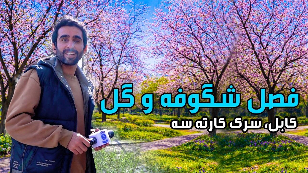 Blossom and Flowers Season on Karte Seh Road, Kabul🌸🌿