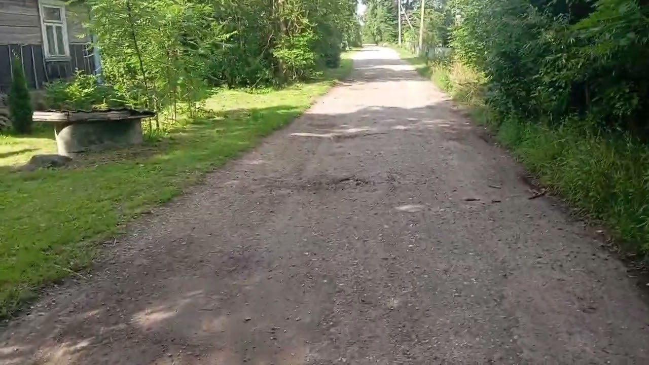 2025.07.18 -деревня Грицевичи - участок Лешенюка Сильвестра и Герасима - 7 участок