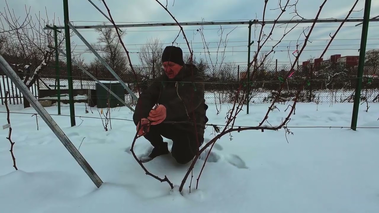 Szlovákia-22fok Pergola Tendone a vízszintes veszök miért teremnek jobban mint a függőleges 