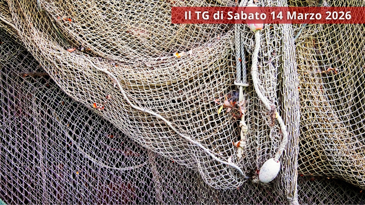 📺 Il TG di sabato 𝟭𝟰 𝗺𝗮𝗿𝘇𝗼 𝟮𝟬𝟮𝟲