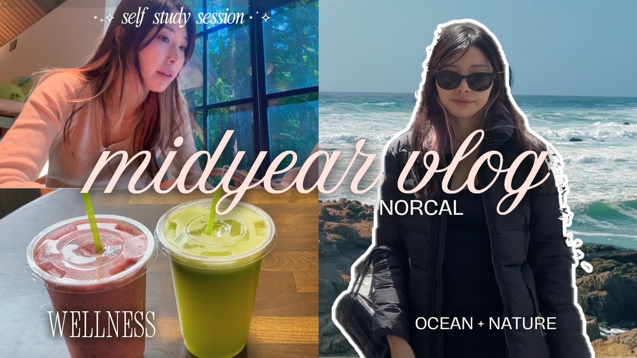 midyear reflections by the Pacific Ocean 🌊 self employed in the bay area diaries