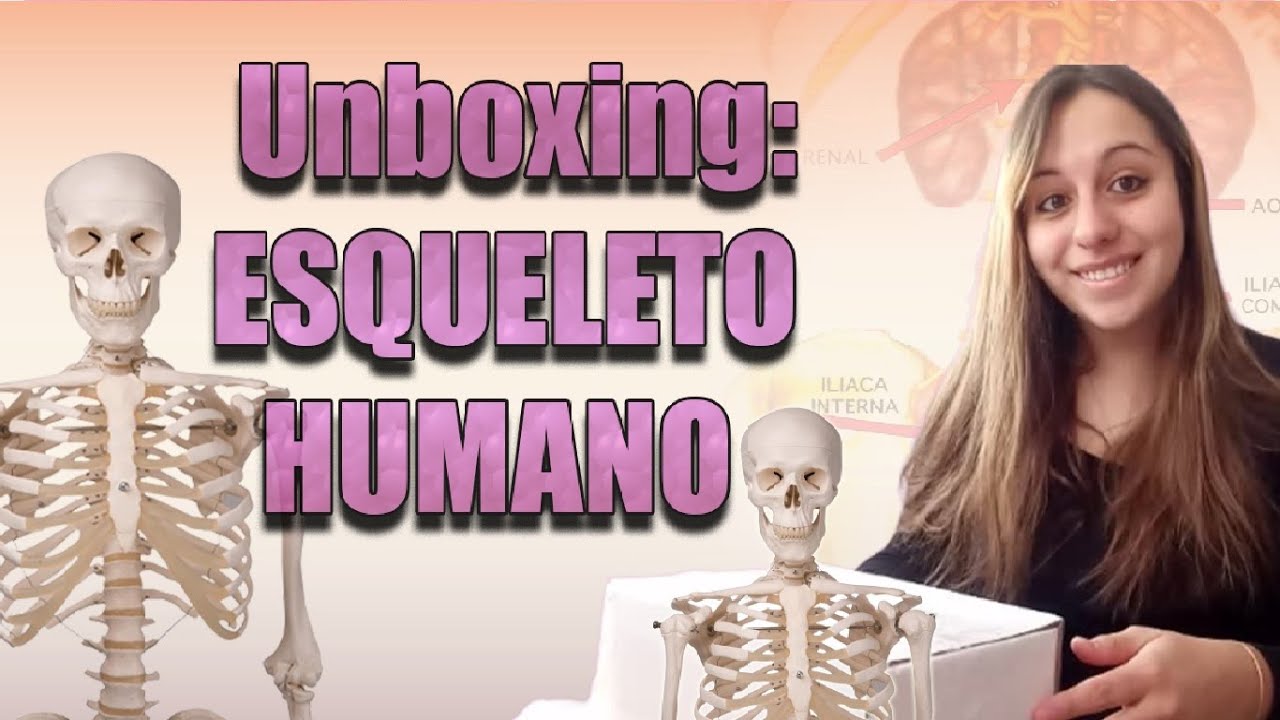 Unboxing | Mini ESQUELETO HUMANO, Anatomía