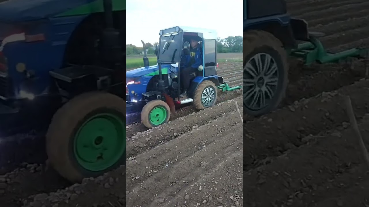 @Міжрядний обробіток картоплі !  (за якість відео перепрошую)