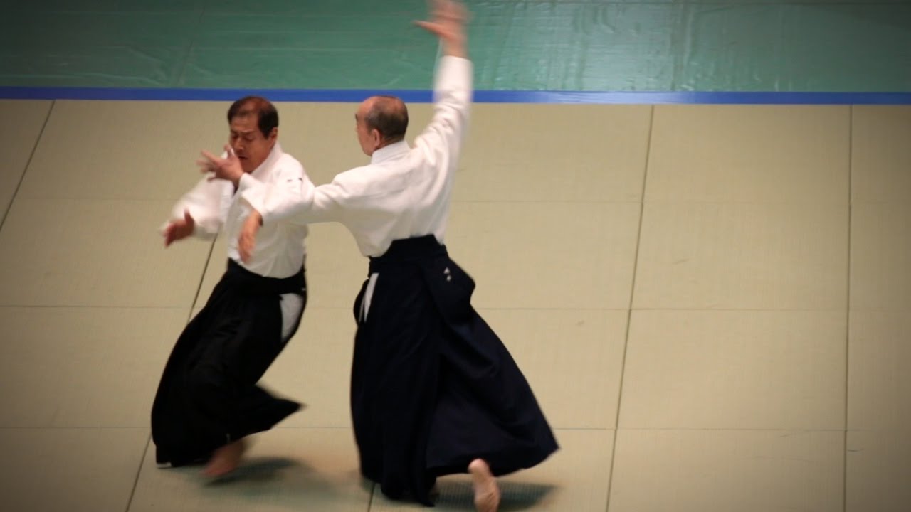 Aikikai Aikido - Shimamoto Katsuyuki Shihan - 54th All Japan Aikido Demonstration (2016)