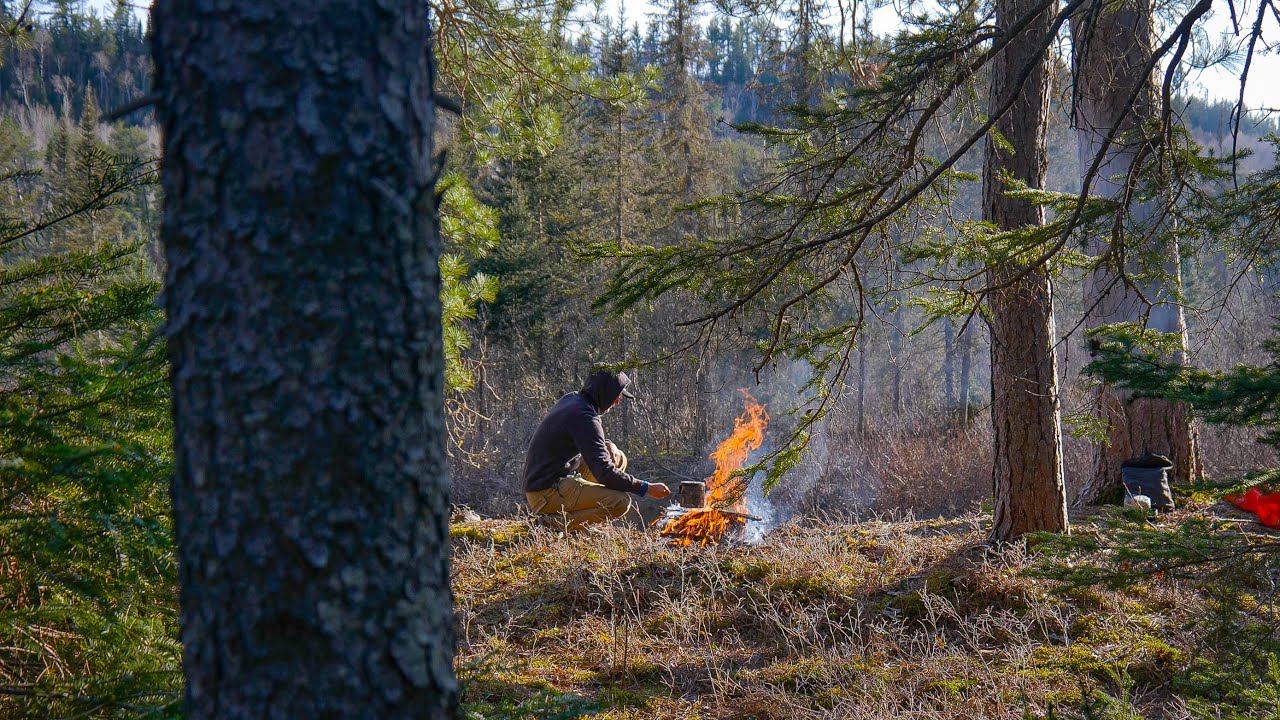 4 Day/100KM+ Canoe Journey in Remote Wilderness - Camping, Whitewater River Adventure