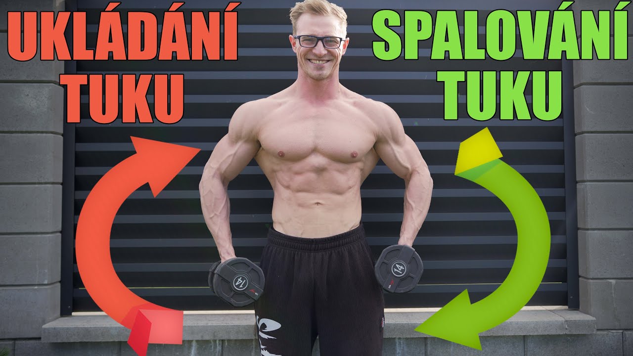 JAK NAŠE TĚLO SPALUJE A UKLÁDÁ TUK (Reálná ukázka)