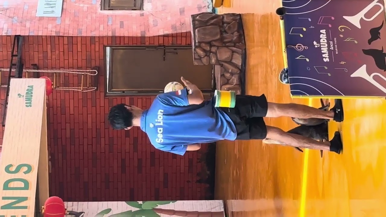 FANTASTICCC NONTON BERANG- BERANG LOKAL ASELI JAWA BARAT INI BERAKSI  !! 🤭🤭🙀😹