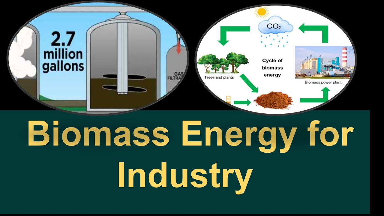 Biomass Energy Utilization in Manufacturing Facilities