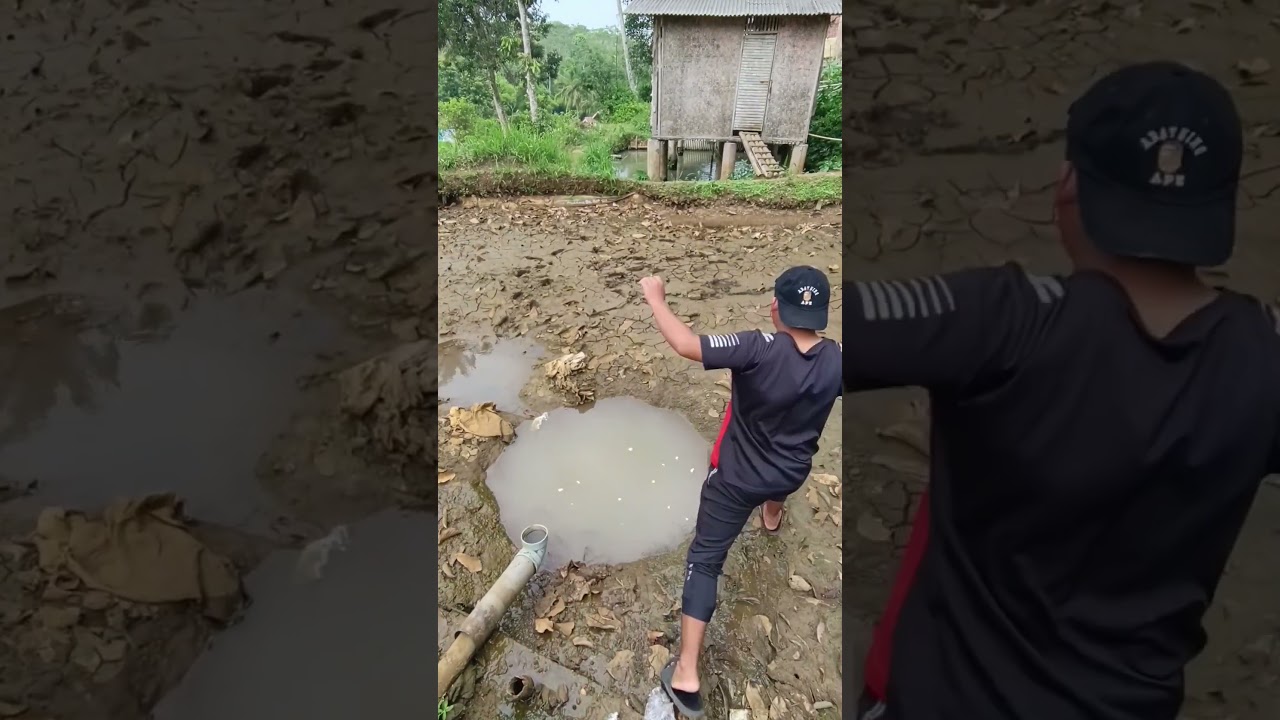 Cari Ikan Di Kubangan Air Bekas Empang Yang Di Kuras