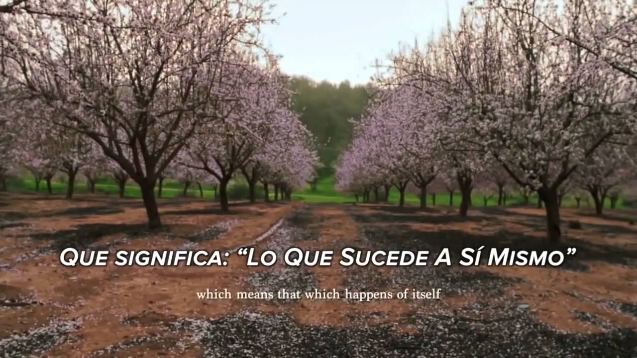 El Secreto de la Vida - Alan Watts - The Secret of Life