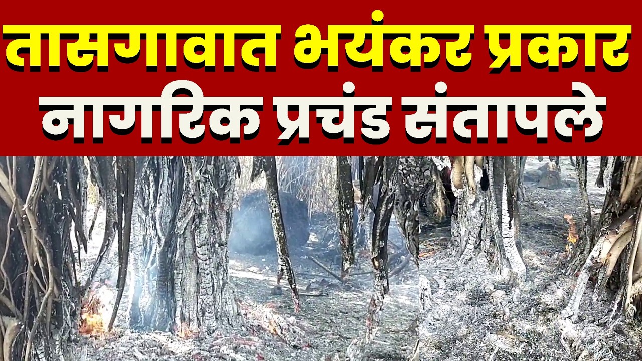 तासगावात भयंकर प्रकार; नागरिक प्रचंड संतापले