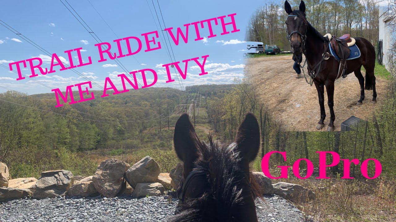 TRAIL RIDE WITH IVY | GoPro | JMG Equestrian