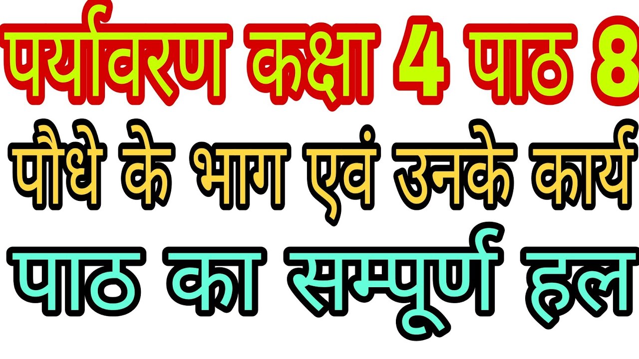 पाठ 8 पौधे के भाग एवं उनके कार्य/पर्यावरण कक्षा 4/Paudhe Ke Bhag Evam Unke Karya/Paryavaran Kaksha4