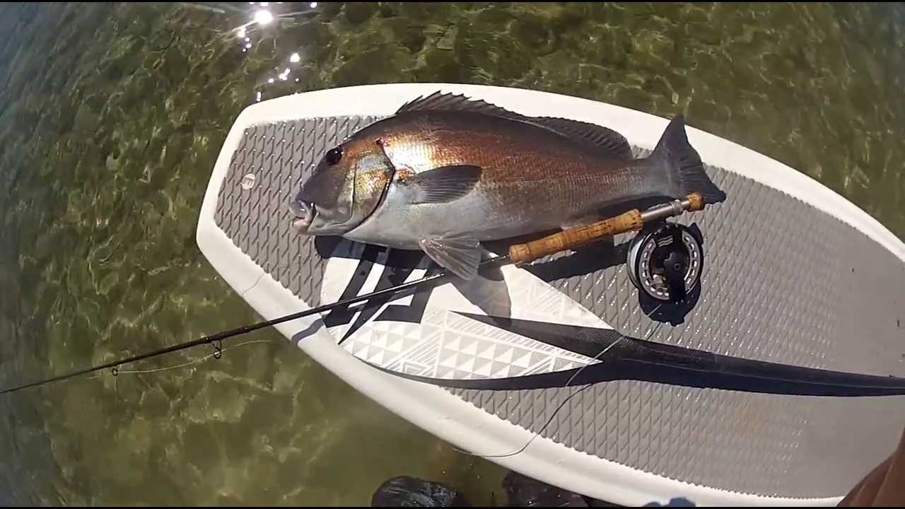 Saltwater Playground - Paul Cunningham