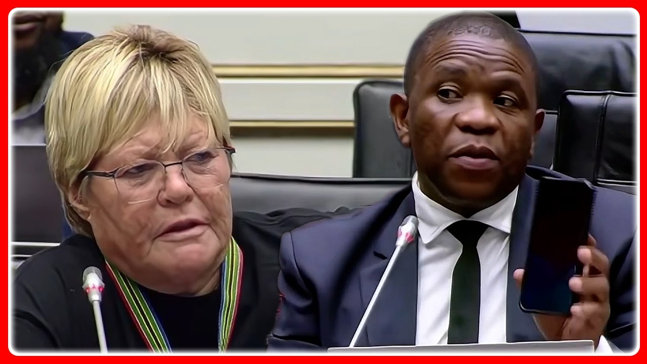 DA Breytenbach Questions LT General Mkhwanazi “I Am Sure You Can Prove Sibiya Allegations Right”