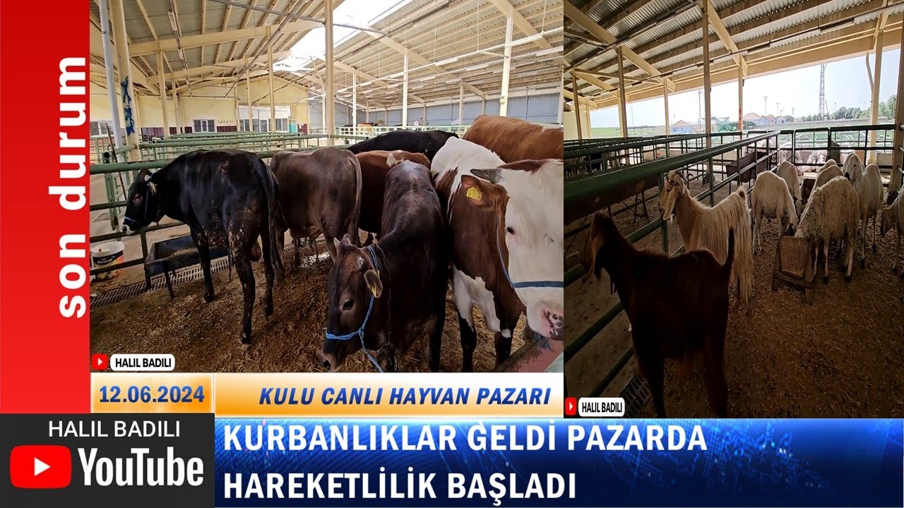 PAZARDA HAREKETLİLİK BAŞLADI (4K ULTRA HD VİDEO)
