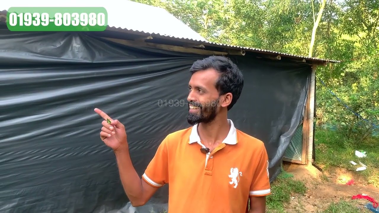 জিও শিট দিয়ে মজবুত পোল্ট্রি খামার