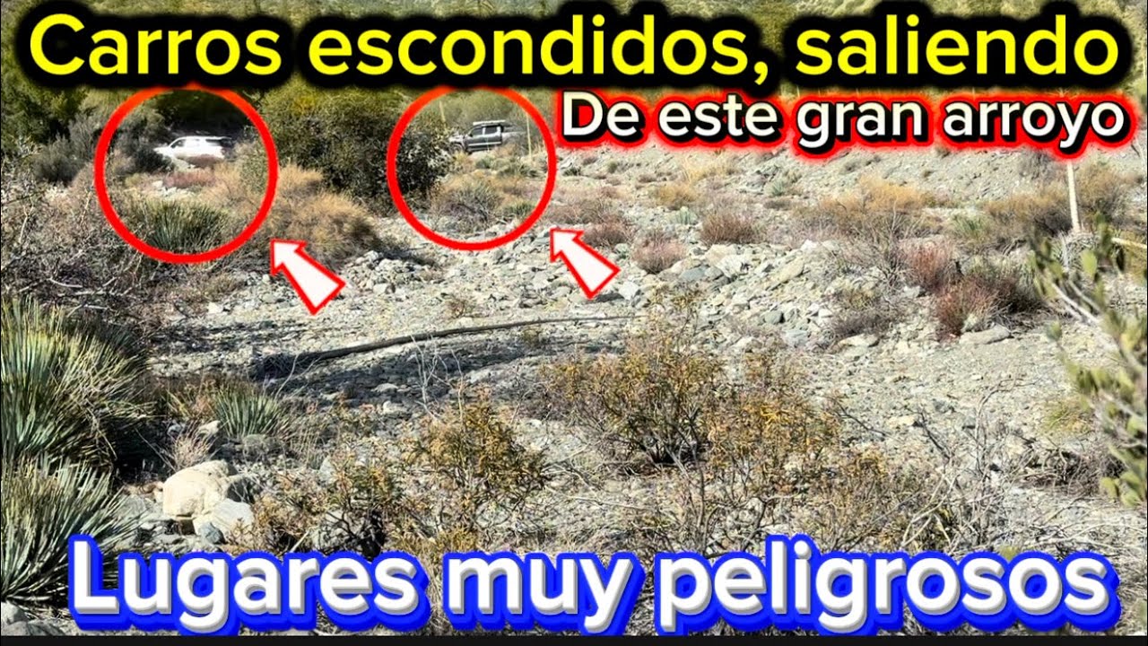 Tuve que salir inmediatamente