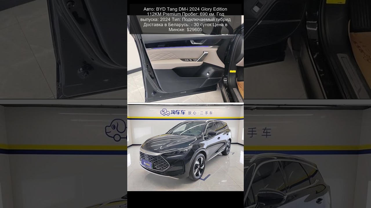 BYD Tang DM-i 2024 Glory Edition 112KM Premium - $29605