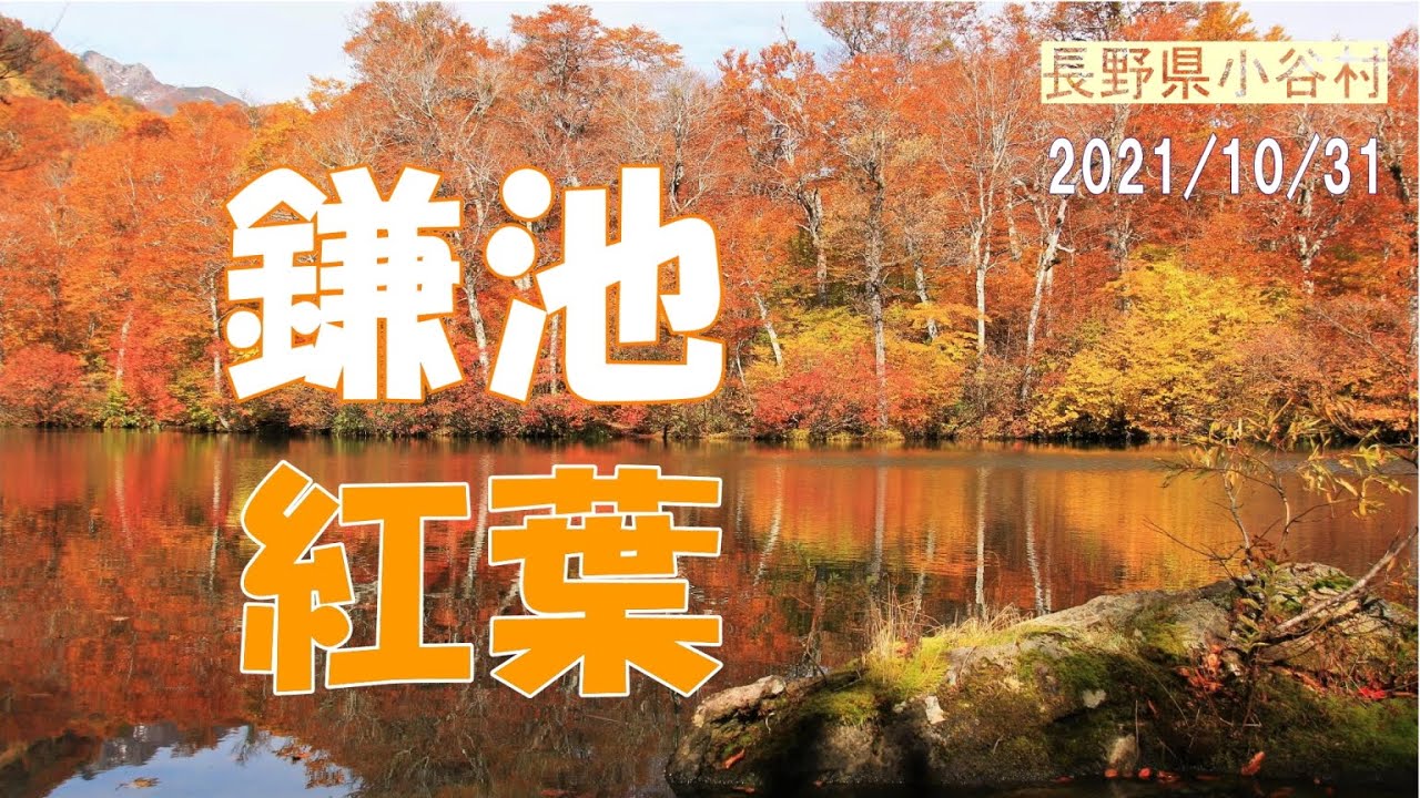 紅葉の鎌池　鎌池一周した動画をダイジェスト版に