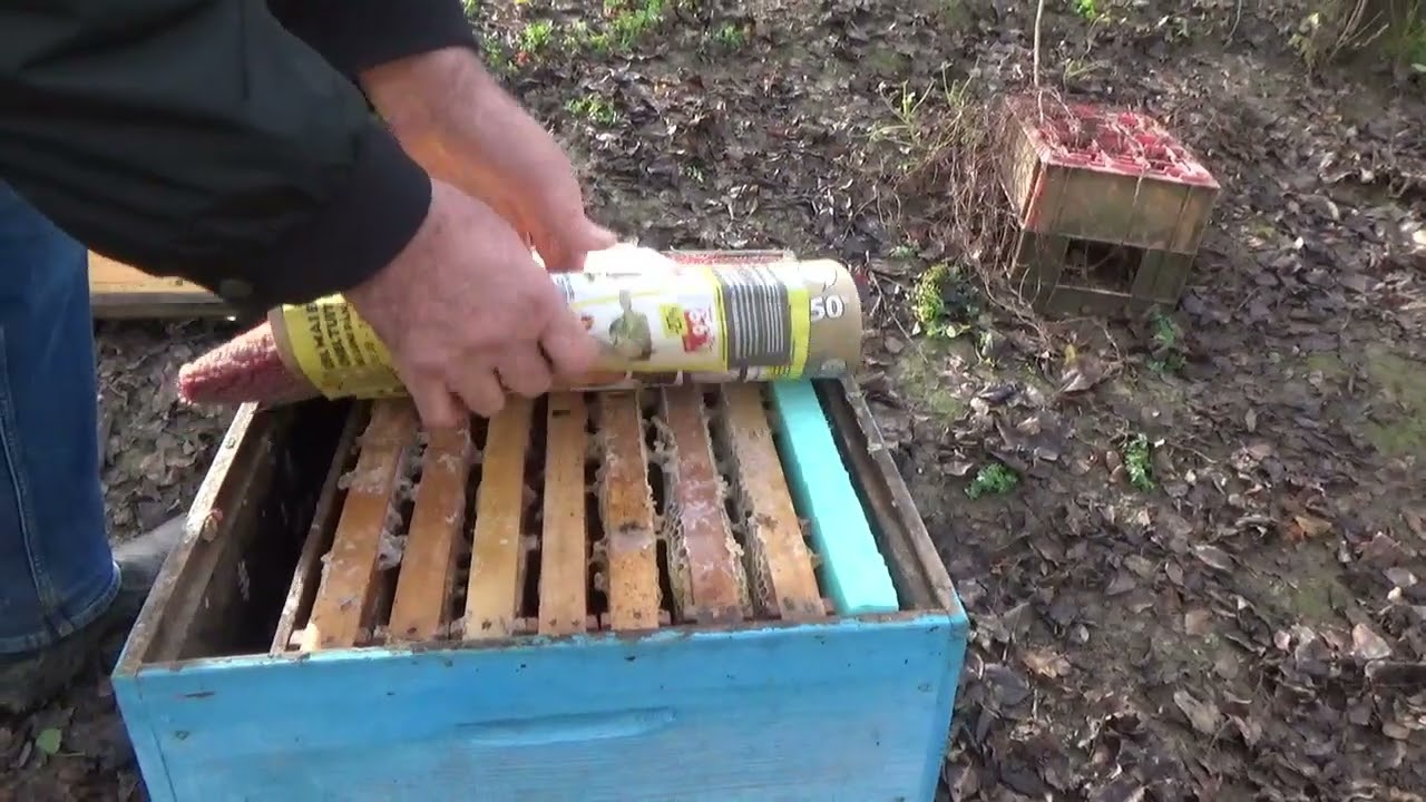 Как спасти ядро ​​зимой!