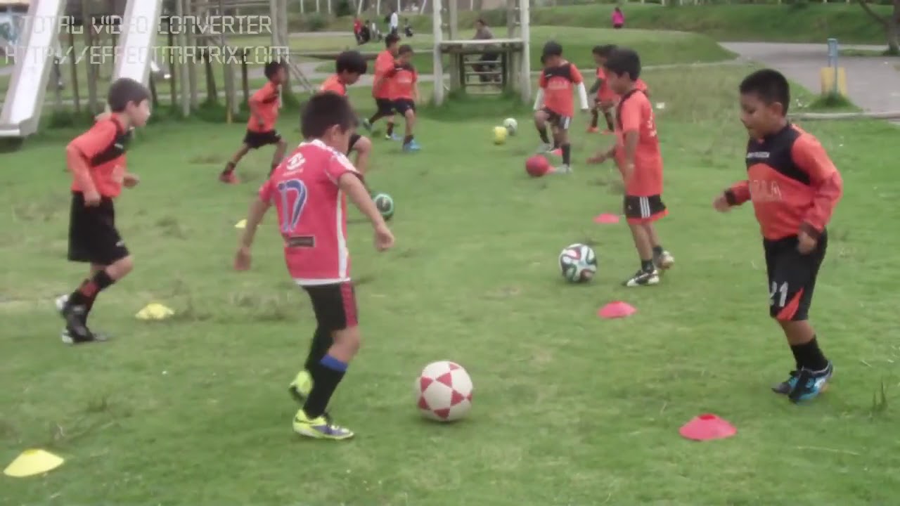 GU&Iacute;A DE ENTRENAMIENTO DEPORTIVO CATEGOR&Iacute;A SUB 8