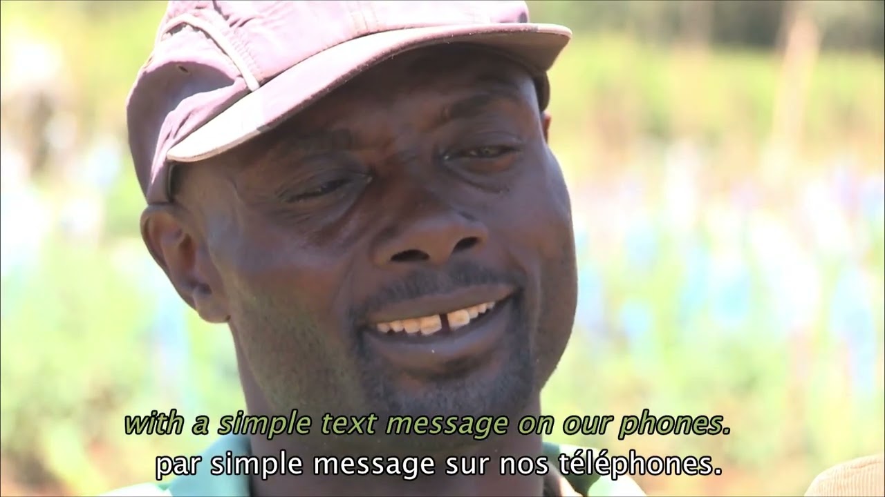 BOOST AFRICA : BEI and AfDB initiative
