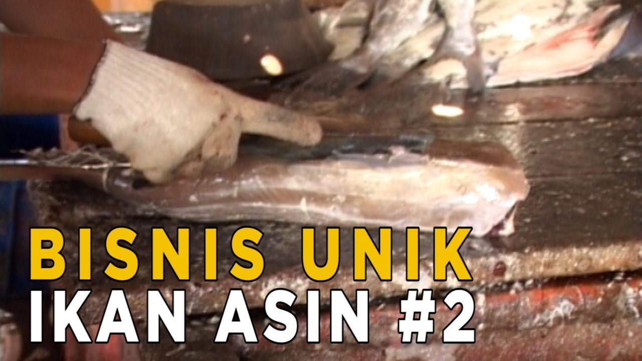 Saatnya melakukan proses pemotongan ikan besar ini | BOSAN JADI PEGAWAI