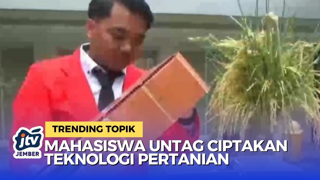 Kering dalam 10 Menit! Mahasiswa Ciptakan Pengering Padi di Musim Hujan
