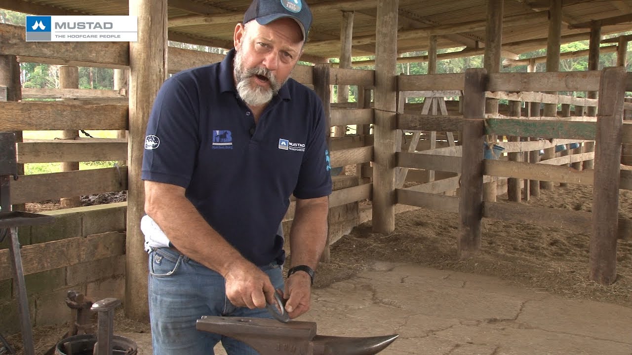 TV UC - Cavalo que se alcança