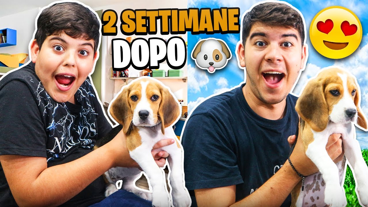 🐶 DUE SETTIMANE CON LA MIA CUCCIOLA DI CANE!! Vi spiego cosa è successo...