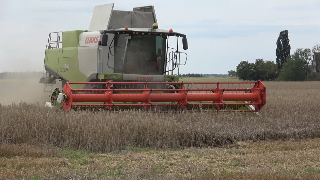 CLAAS LEXION 740 am Roggen dreschen / Abfahrer Deutz-Fahr 6190 TTV / SOUND / 4K