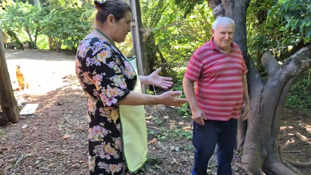 Casal de idosos cuida de cães  e gatos 🐩🐈🐈‍⬛🦮 abandonados que exemplo de vida.