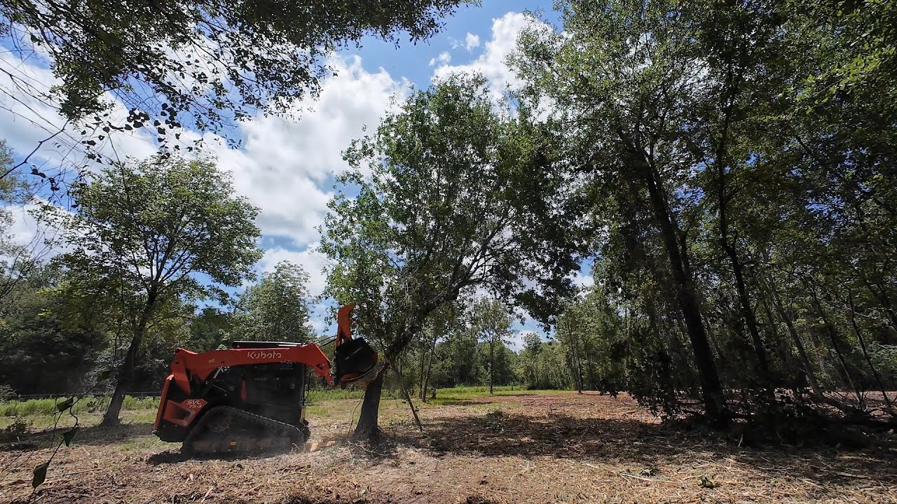 Letting it Eat - Kubota SVL75-3 and TMC Cancela TWJ-150 Mulcher