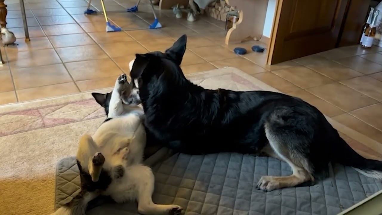 Ari&Nelly März 2026