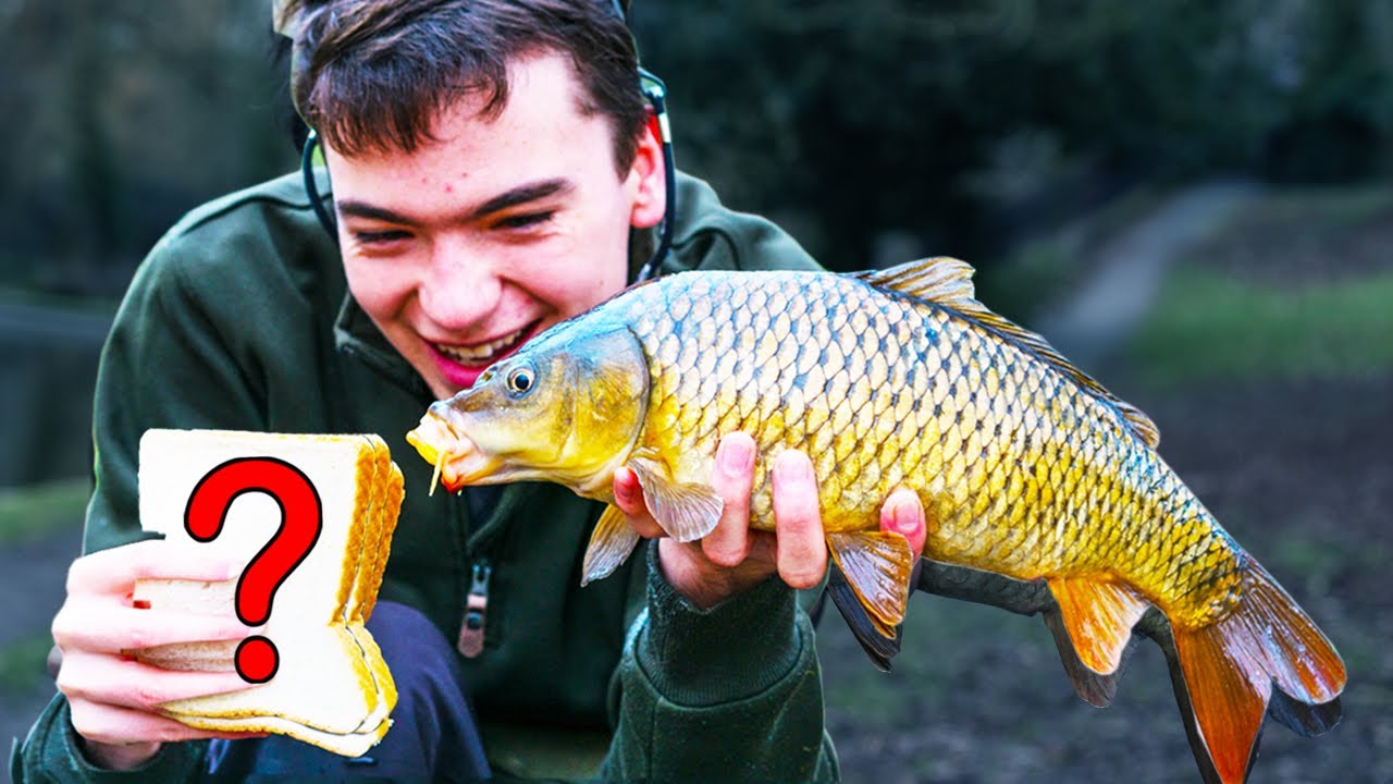 Is this the BEST BAIT for carp fishing?