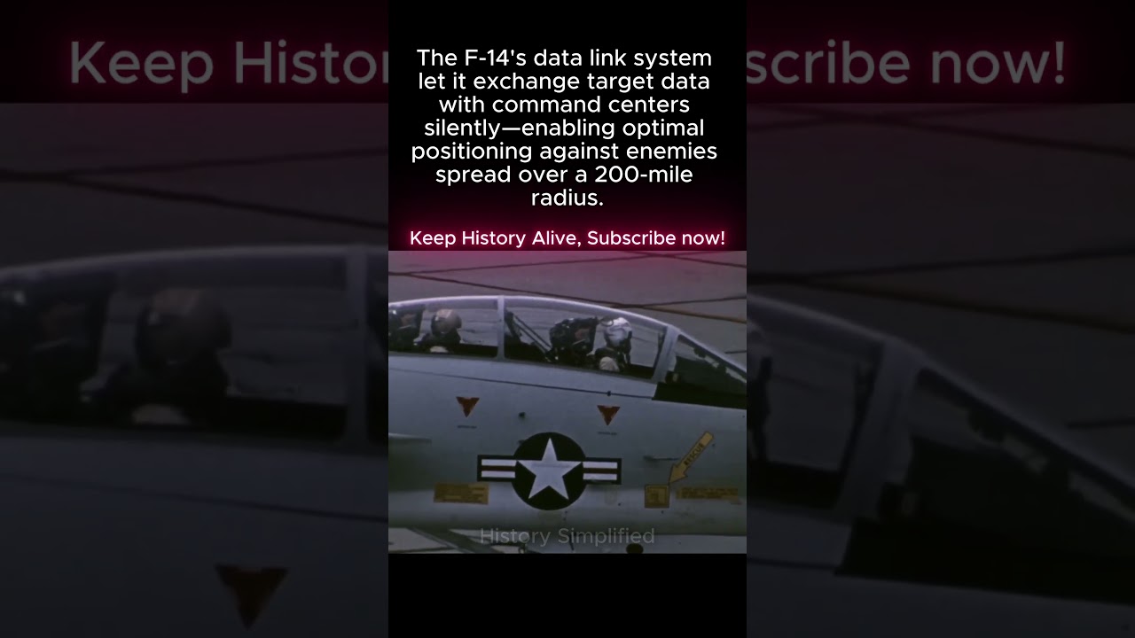 F-14 Data Link: Enemies Over 200-MILE Radius. Command Center Feeds Targets. PERFECT Position.