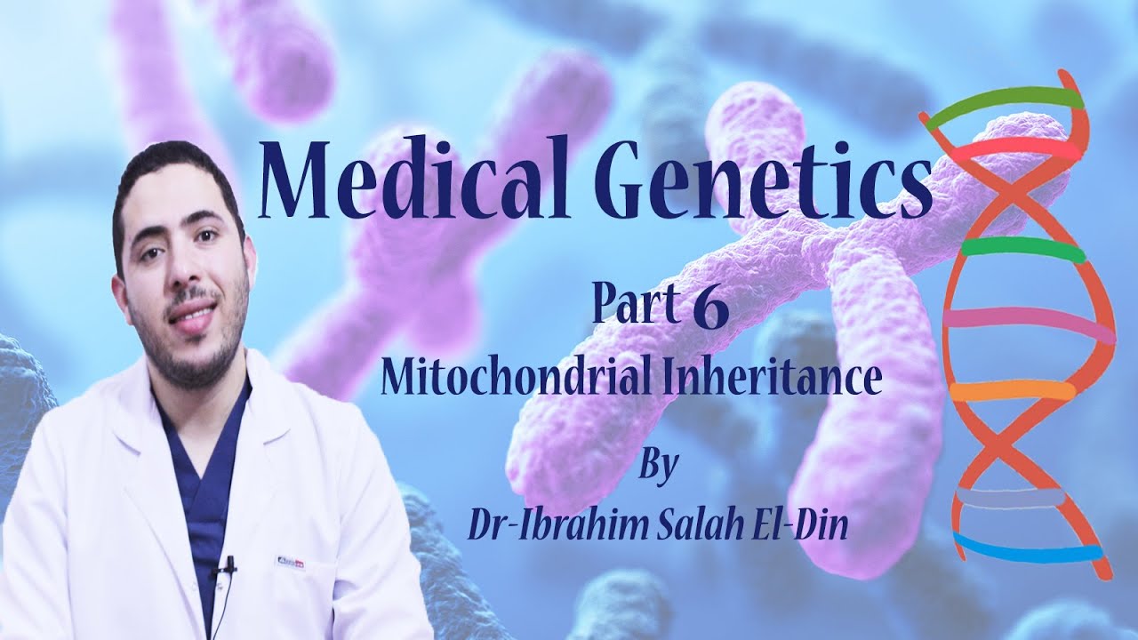 Medical Genetics Part 6 Mitochondrial inheritance