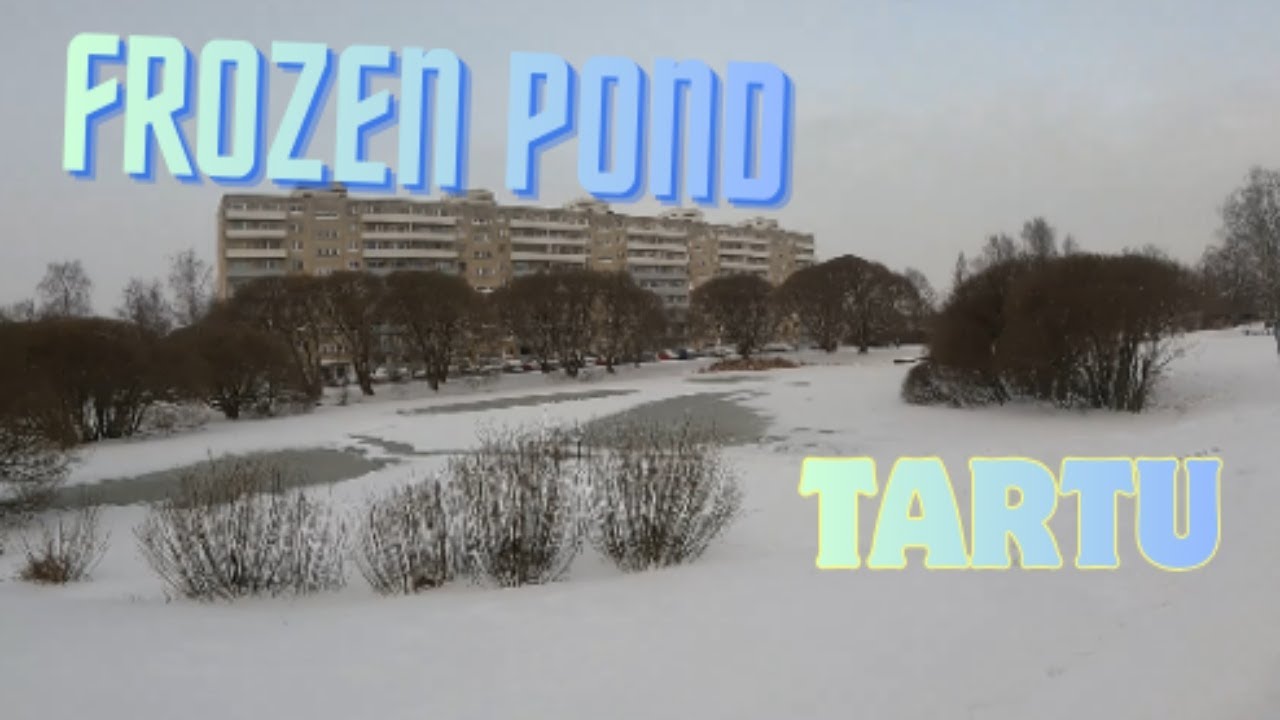 Frozen pond in Estonia, city Tartu (annelinna tiik)