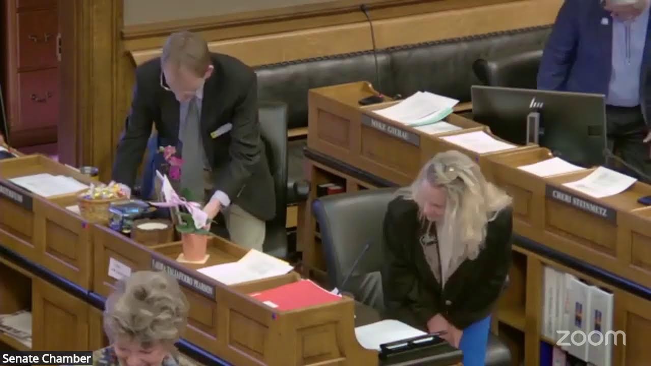 Senate Floor Session-Day 15, February 26, 2026-PM