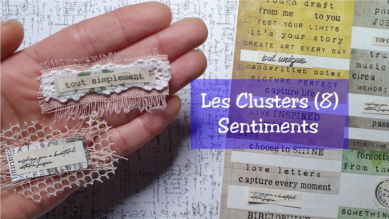 Les Clusters (8) Sentiments