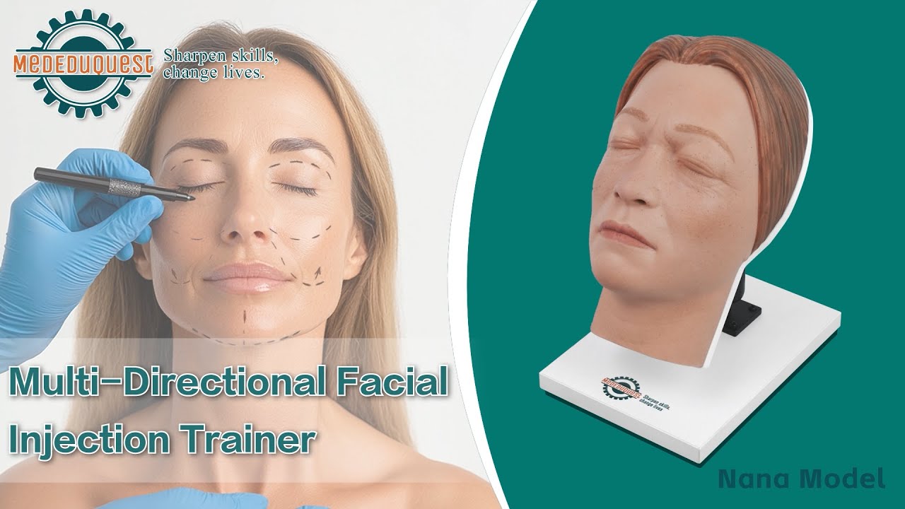 Facial Injection Manikin with Feminine Features - Nana Model, Multi-Directional
