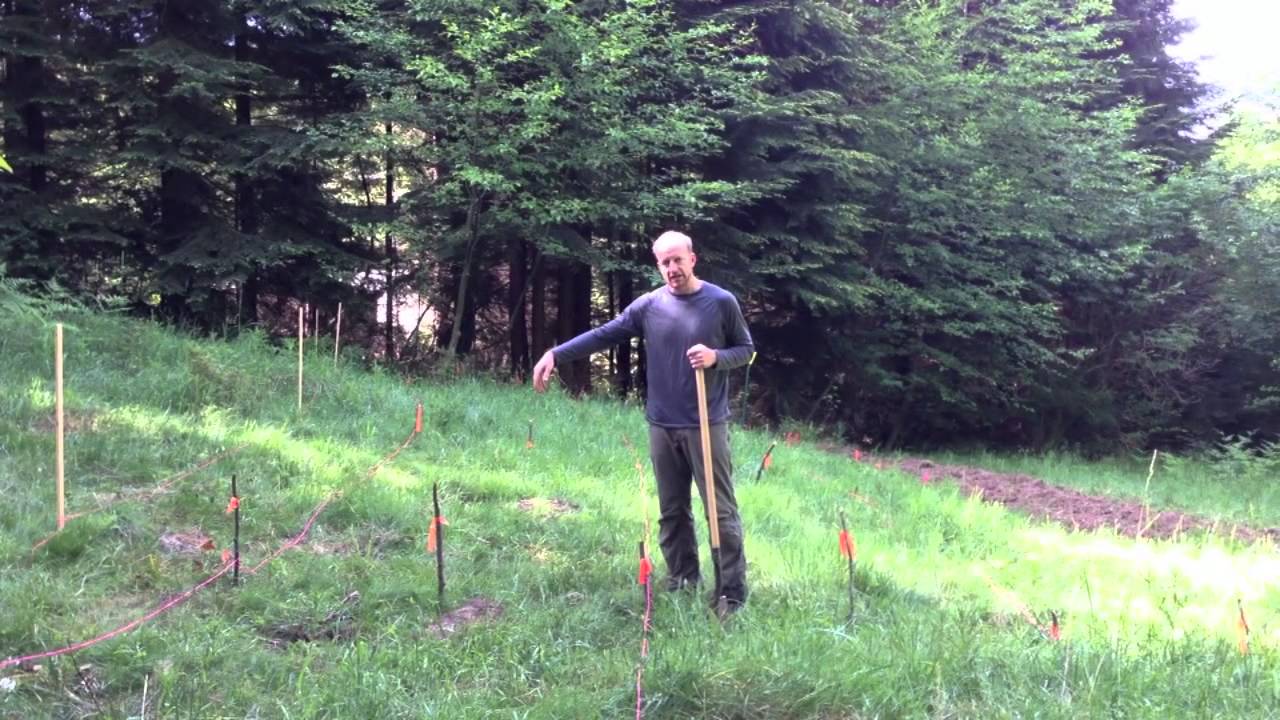 Keyline Market Garden Part 1
