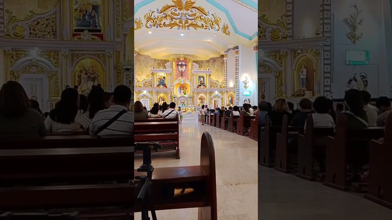 Vlog no 53 For the 5th Sunday of ordinary time