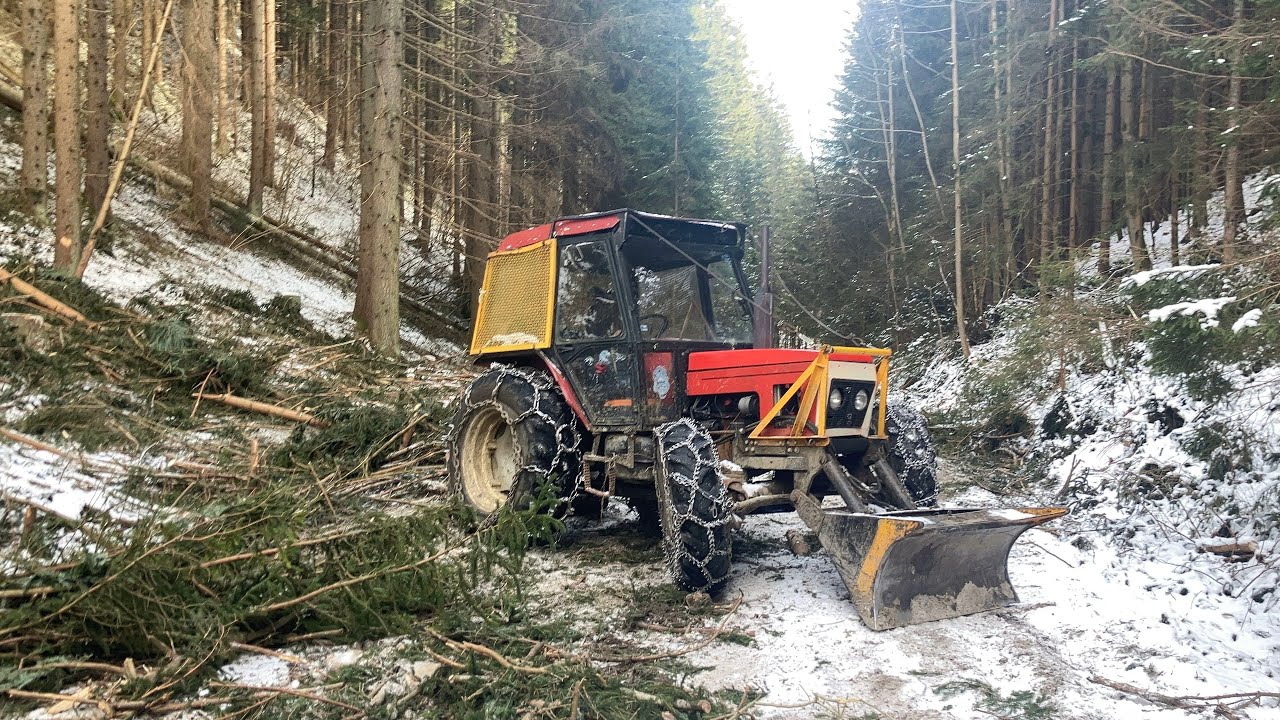Ťažba dreva Zetor 7245 pls  odber