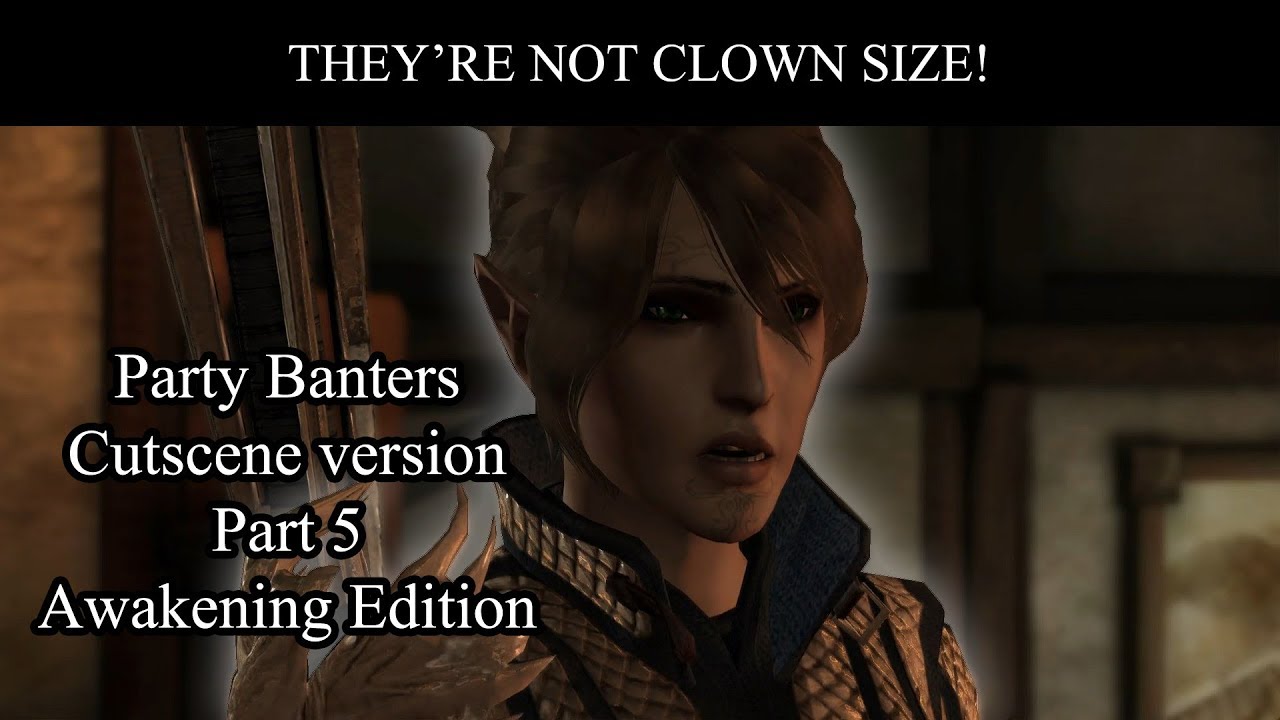 Dragon Age Party Banter cutscene version part 5 | Awakening Edition