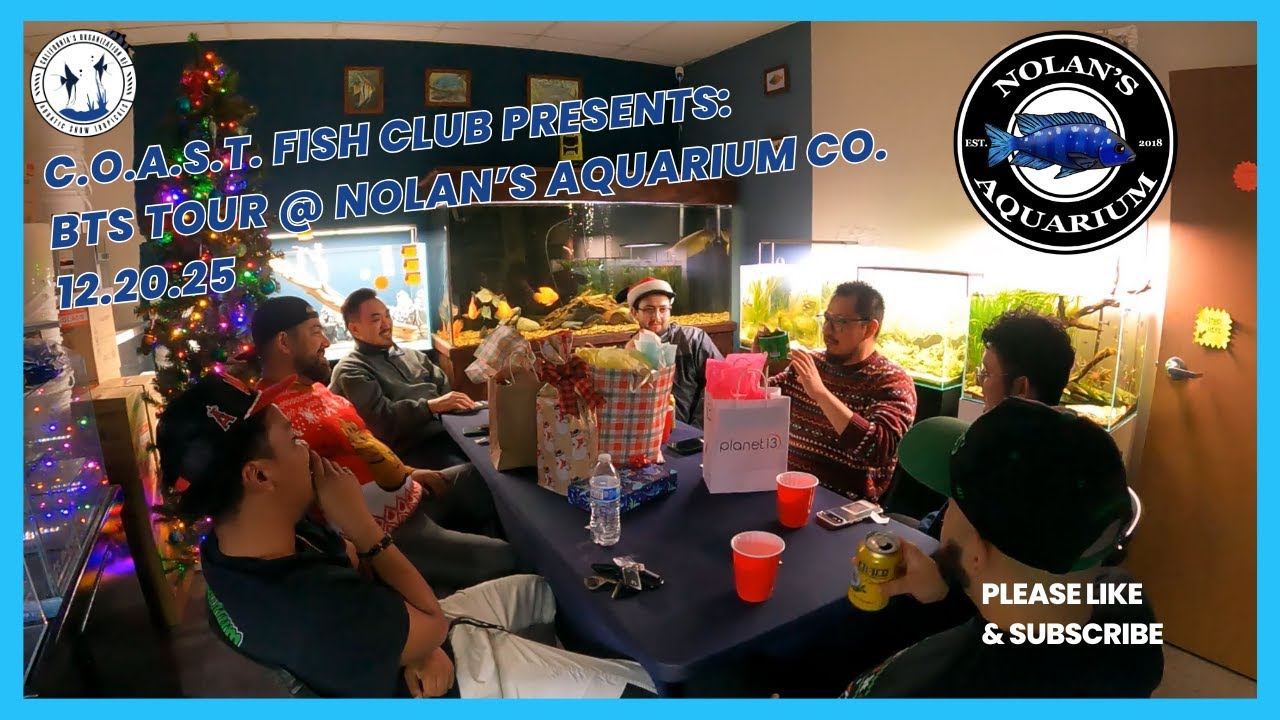 Экскурсия по магазину аквариумных рыбок Nolan's Aquarium Co. - Закулисье (Рождественская вечеринк...