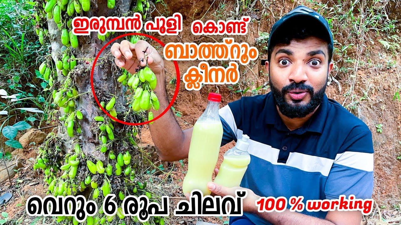 6 രൂപ ചിലവിൽ ഇരുമ്പൻ പുളി കൊണ്ട് ബാത്ത്റൂം ക്ലീനർ ഉണ്ടാക്കാം /bathroom cleaner making /masterpiece